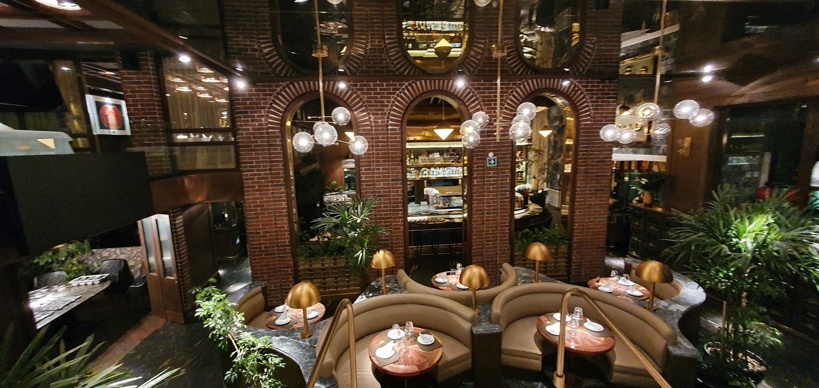 una habitación con un montón de plantas y una mesa