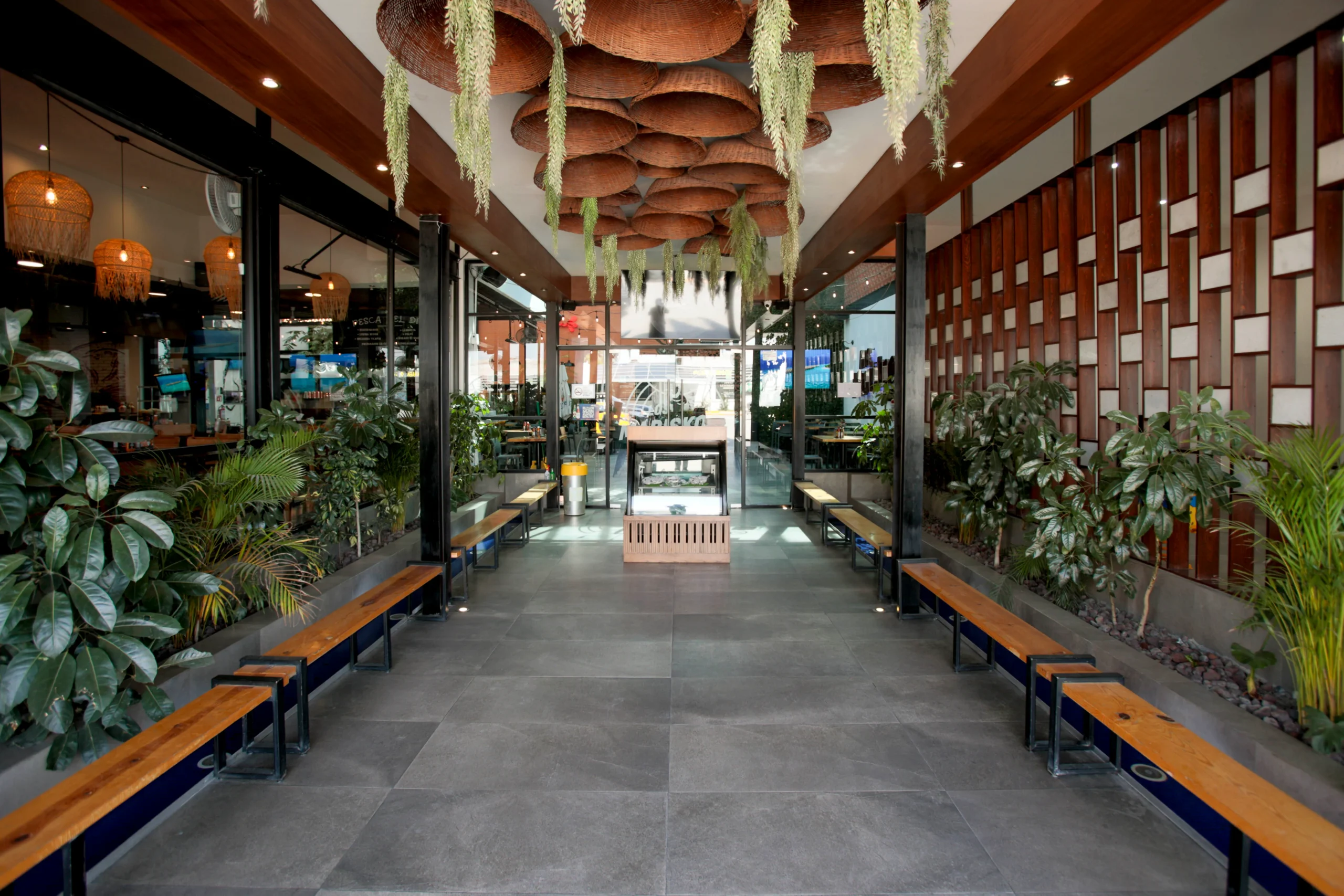 hay muchas plantas y plantas en la habitación y un banco